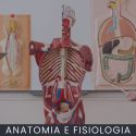 Anatomia e Fisiologia curso online