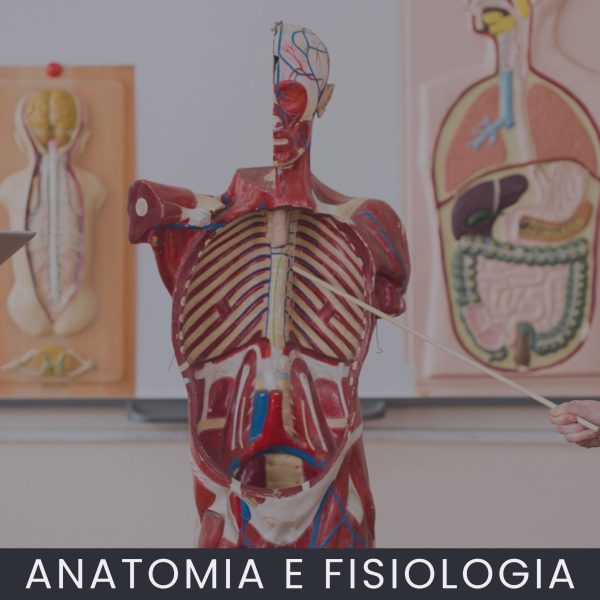 Anatomia e Fisiologia curso online