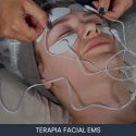 Curso de Terapia Facial EMS Online Curso de Terapia Facial EMS Online